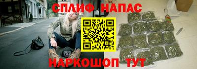 гидра Гусиноозёрск