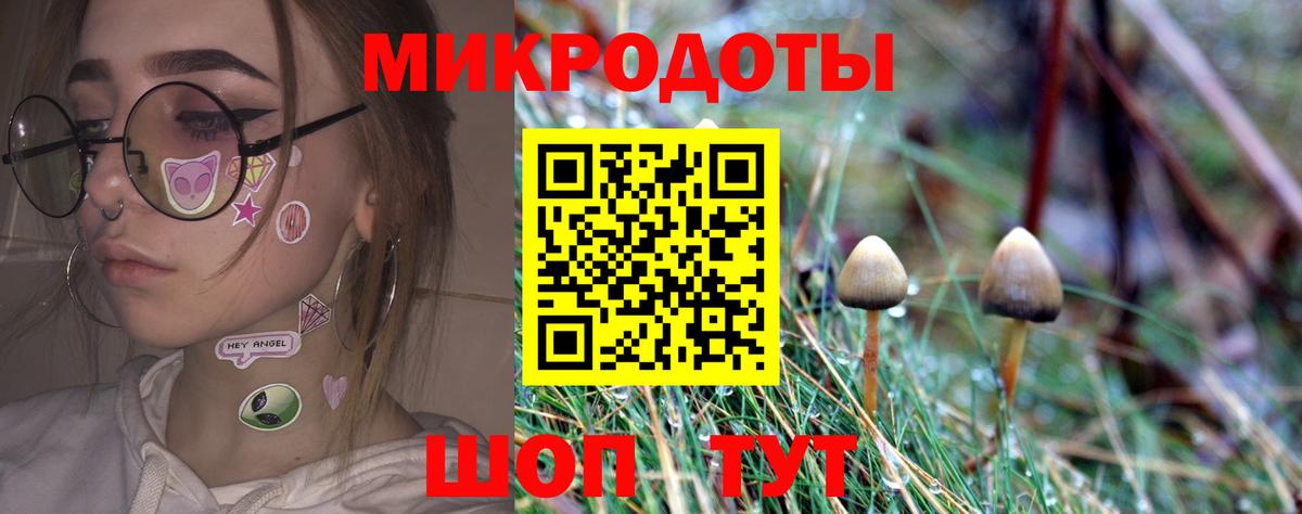 Псилоцибиновые грибы Cubensis  Вход с VPN  Луга 